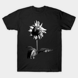 Sunflower Vol.20 T-Shirt